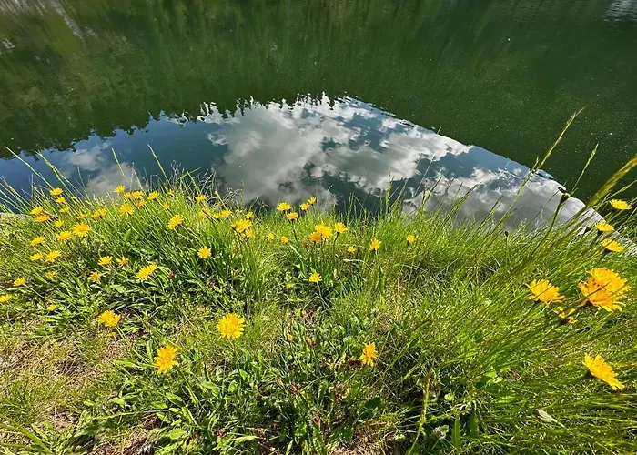 Michlbauer - Kaufmann Aloisia بيت ضيافة *