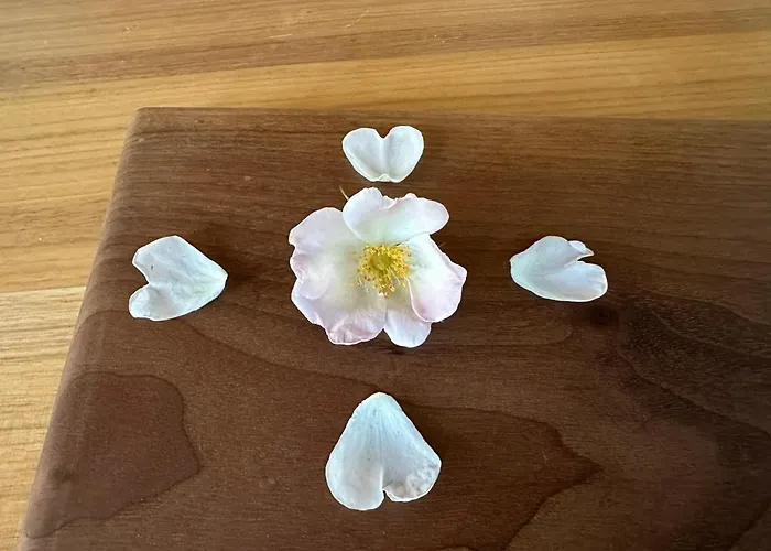 Michlbauer - Kaufmann Aloisia